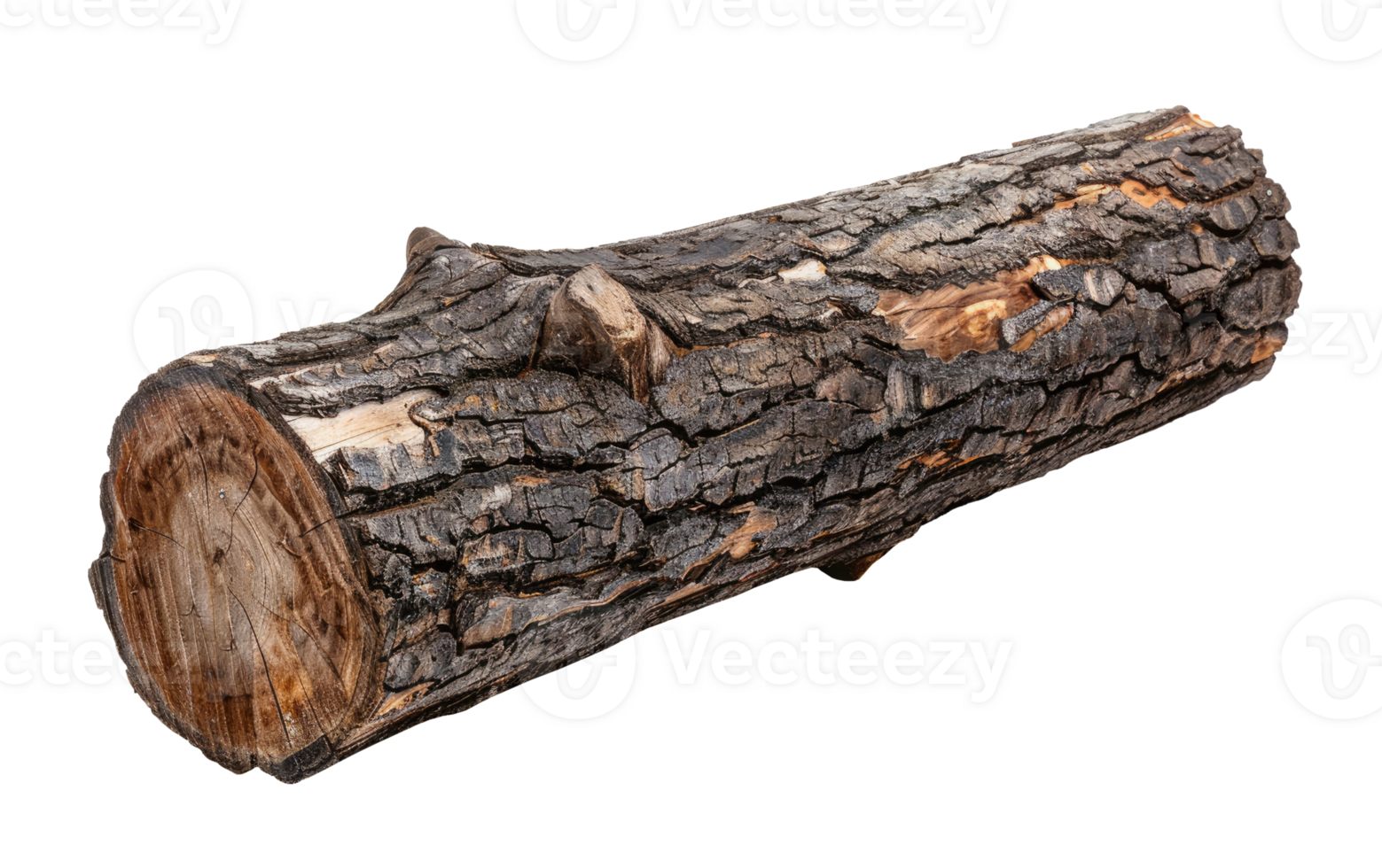 Log isolated on transparent background png