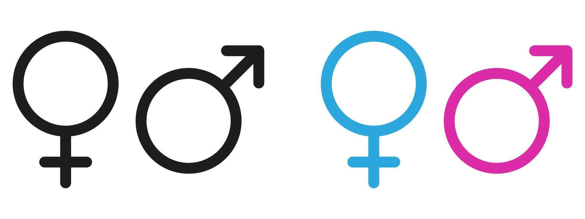 Two male and female symbols are shown on a white background vector