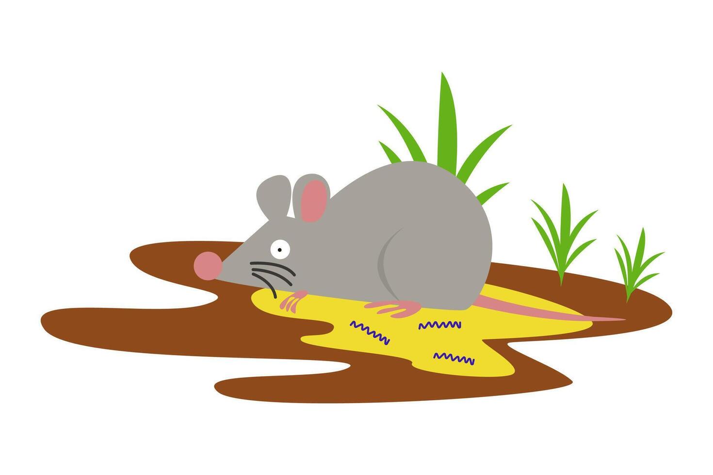 leptospirosis infection disease from leptospira bacteria in rat urine vector