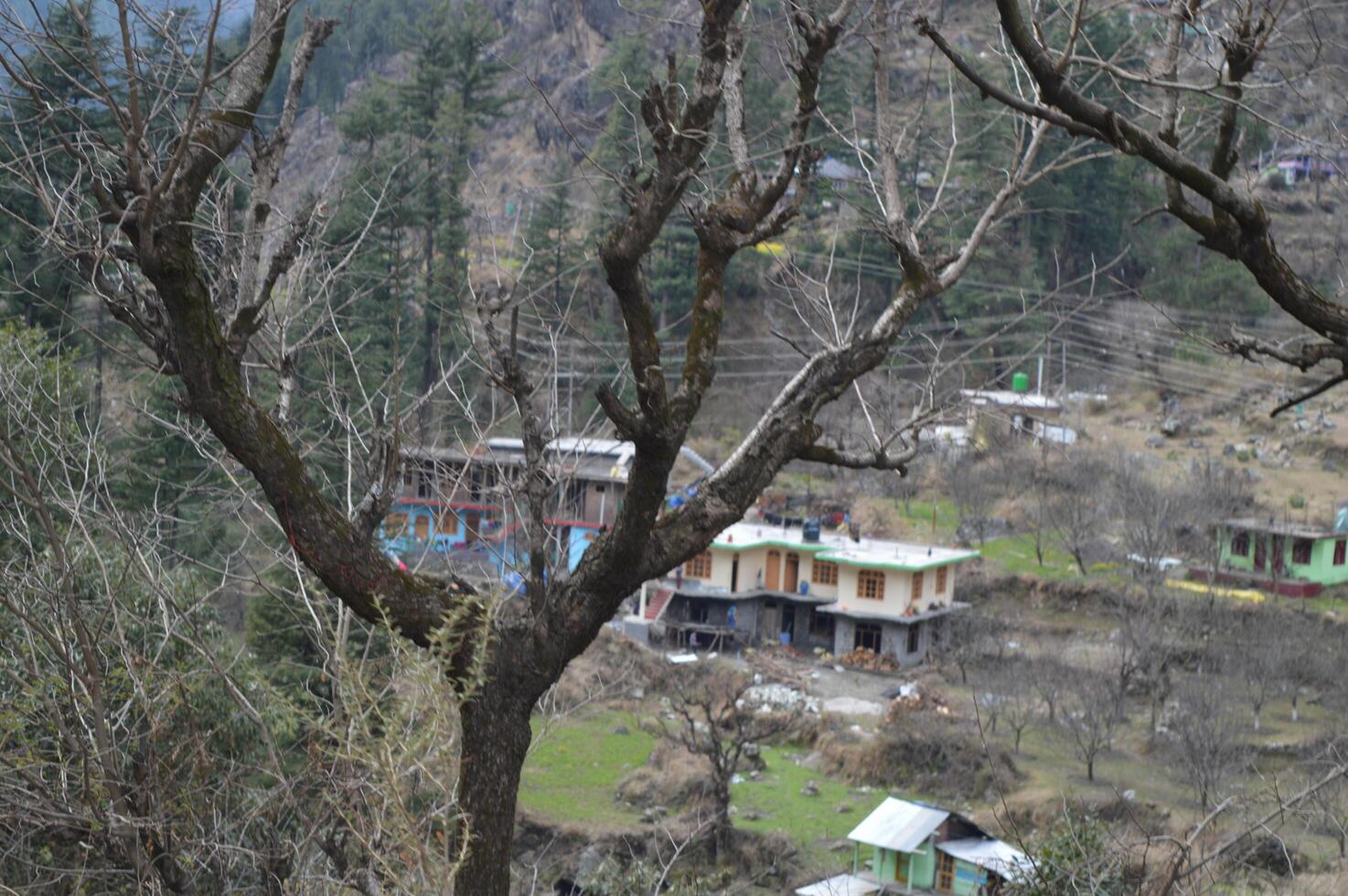 House in Kasol Village in Himachal Pradesh photo