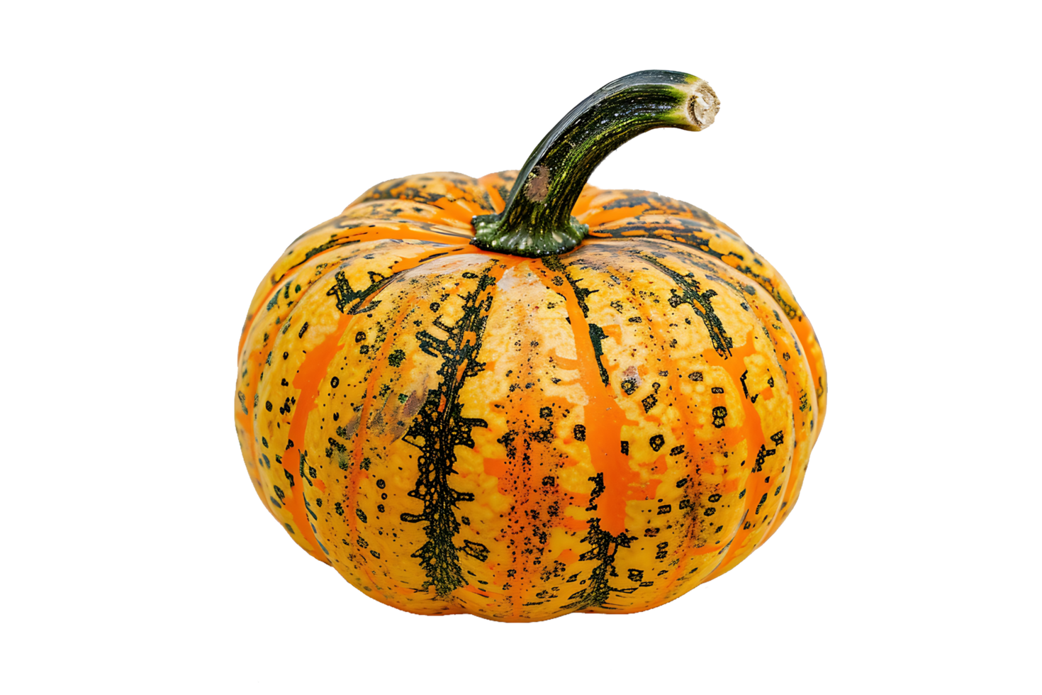 A Small, Orange and Green Pumpkin with a Speckled Skin png
