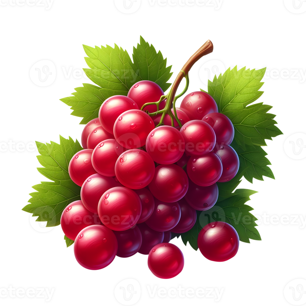 bunch of red grapes on transparent background png