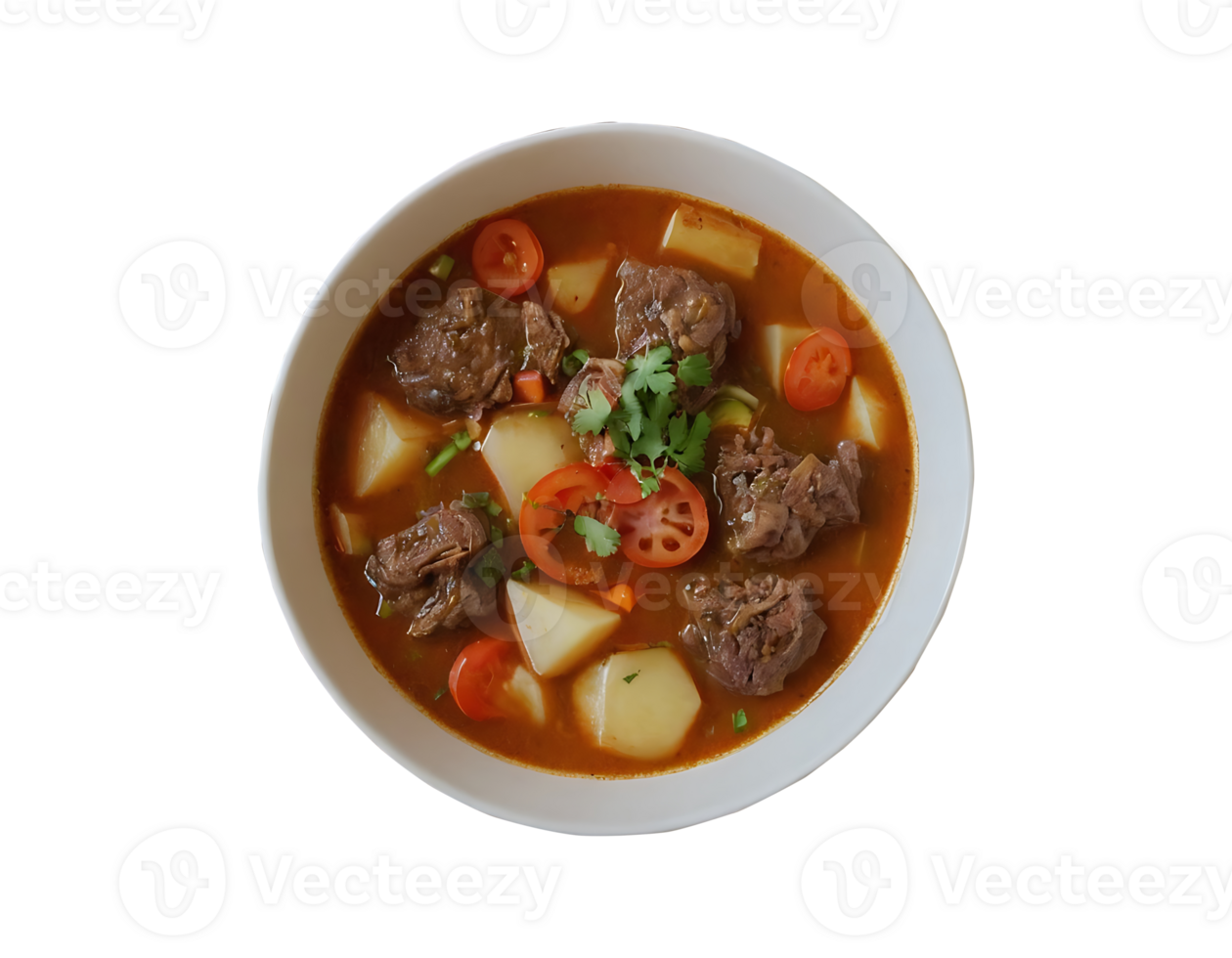 The Popular Indonesian Dish Sop Buntut, Oxtail Soup. Concept Indonesian Cuisine, Sop Buntut, Oxtail, Soup Recipe, Traditional Dish on transparent background png