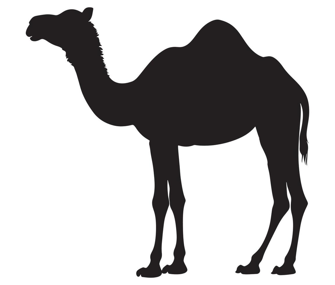 Silhouette of a camel, Arabian camel, Animal vector