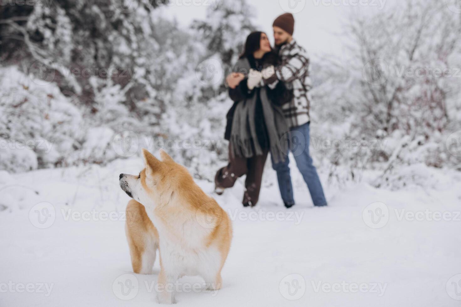 Happy young couple with akita dog in forest on winter day photo