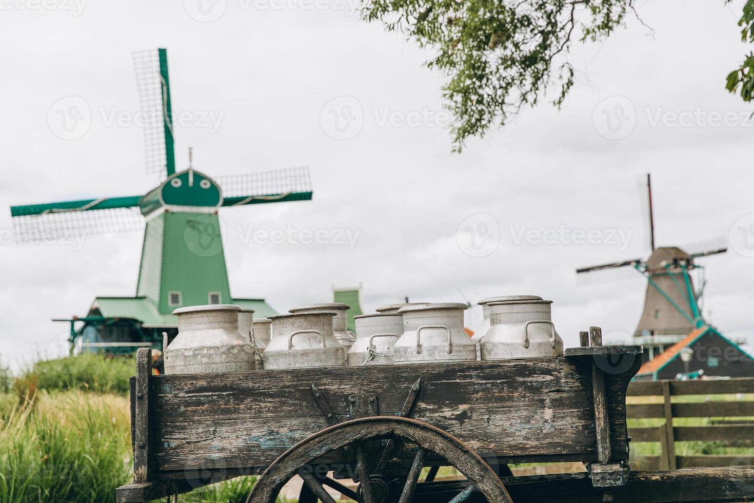 Rural landscape with windmill in Zaanse Schans. Holland, Netherlands. Authentic Zaandam mill. photo