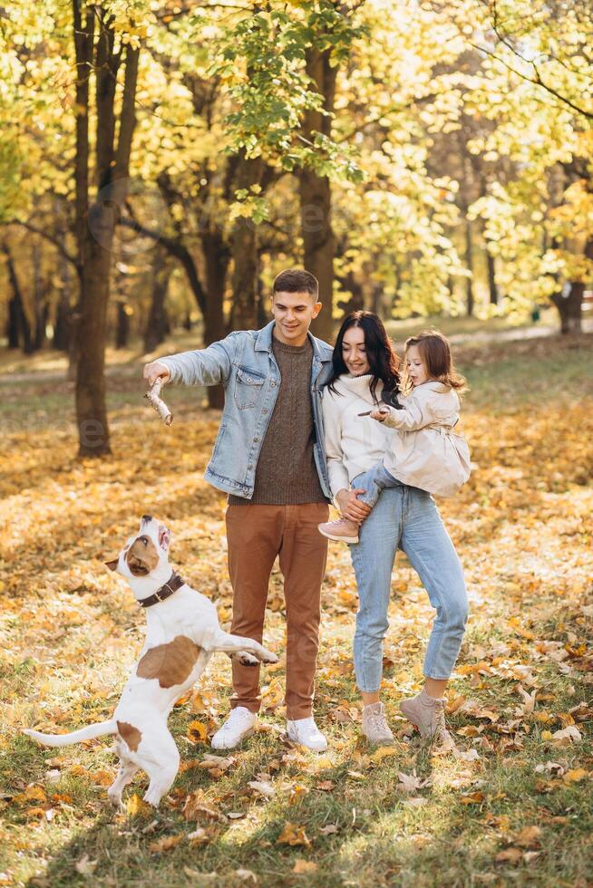 Happy young family walks and plays with a dog in the autumn park photo