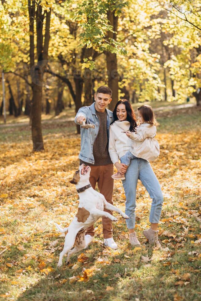 Happy young family walks and plays with a dog in the autumn park photo