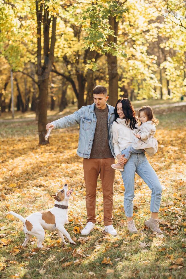 Happy young family walks and plays with a dog in the autumn park photo
