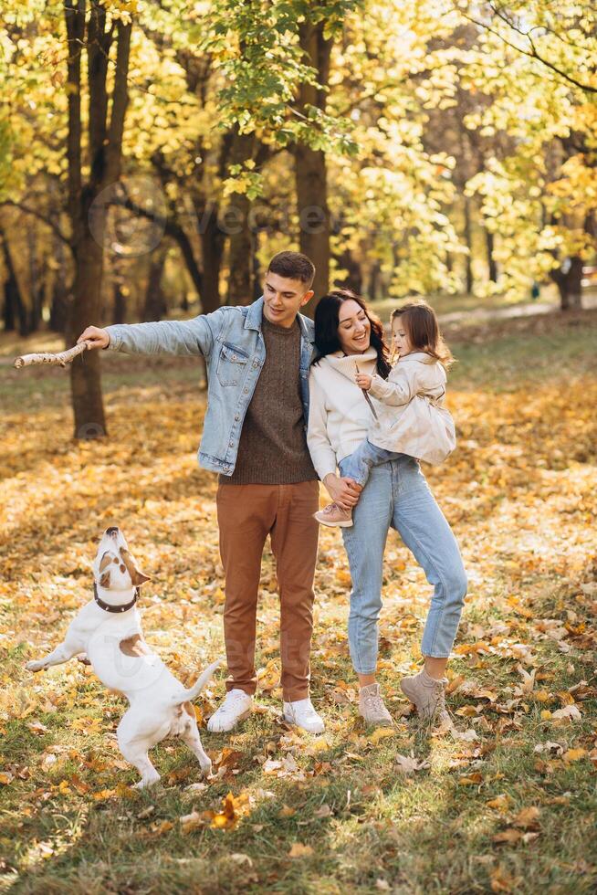 Happy young family walks and plays with a dog in the autumn park photo