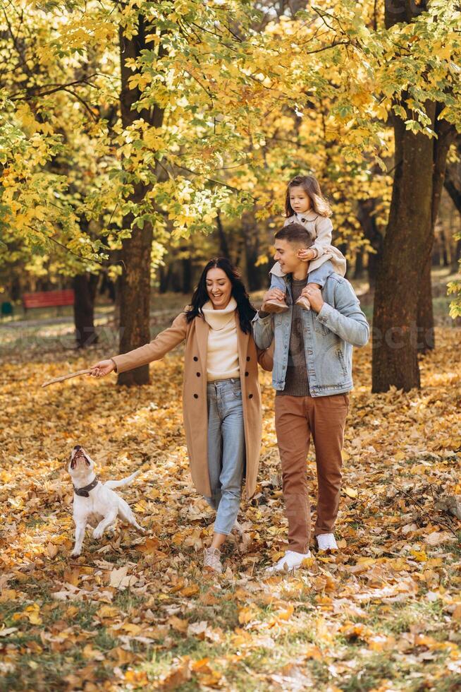 Happy young family walks and plays with a dog in the autumn park photo