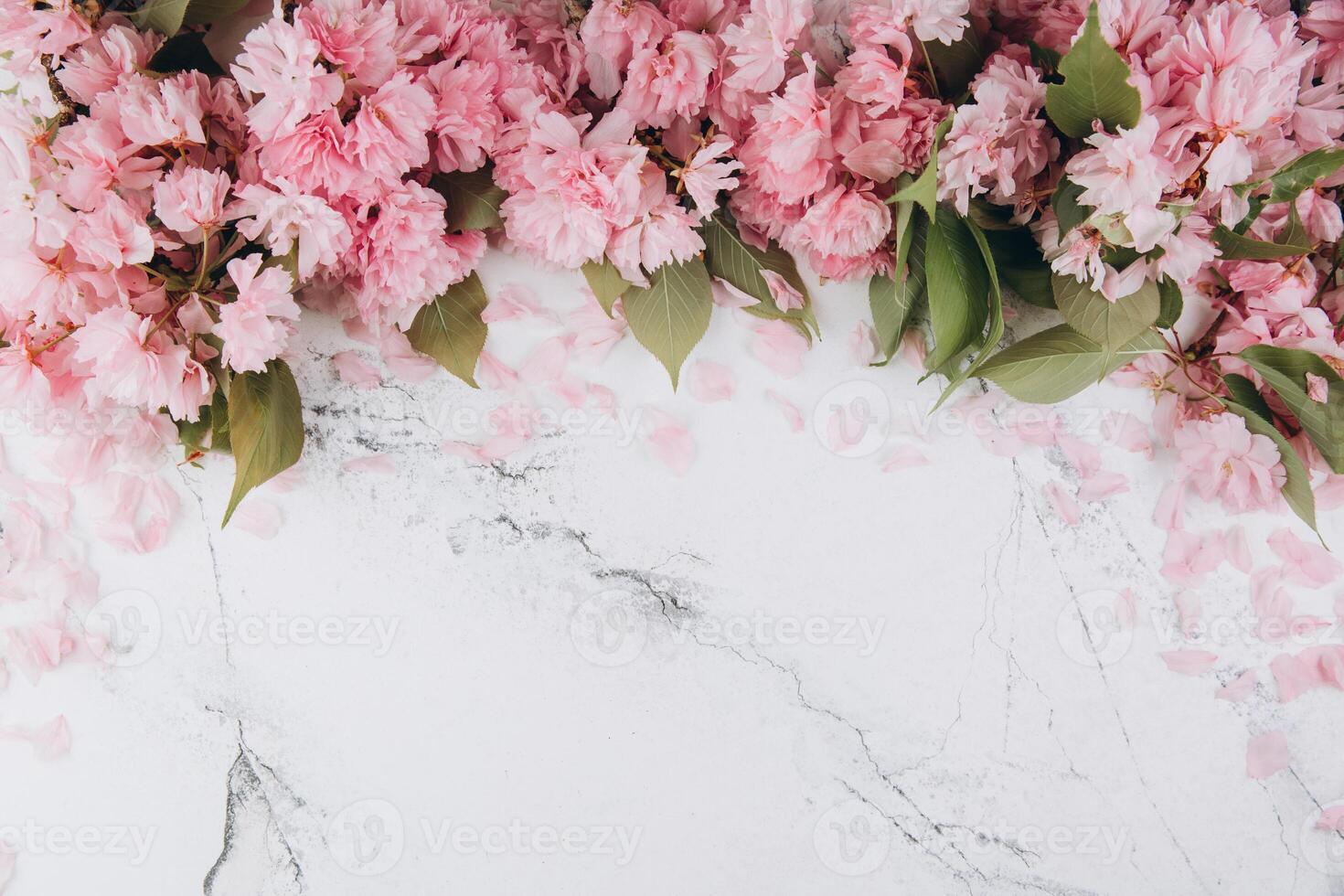 Sprigs of the sakura tree with flowers and petals on trendy marble background. Place for text. The concept of spring came. Top view. Flat lay photo