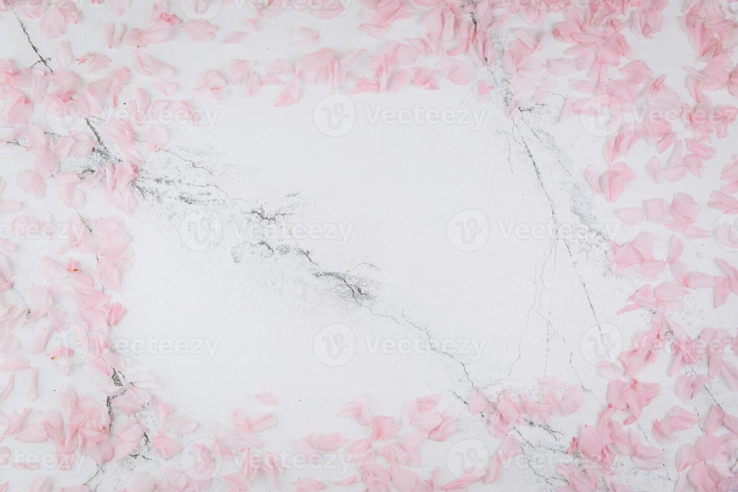 Spring composition. Pink petals on a trendy marble background. Flat lay, top view photo