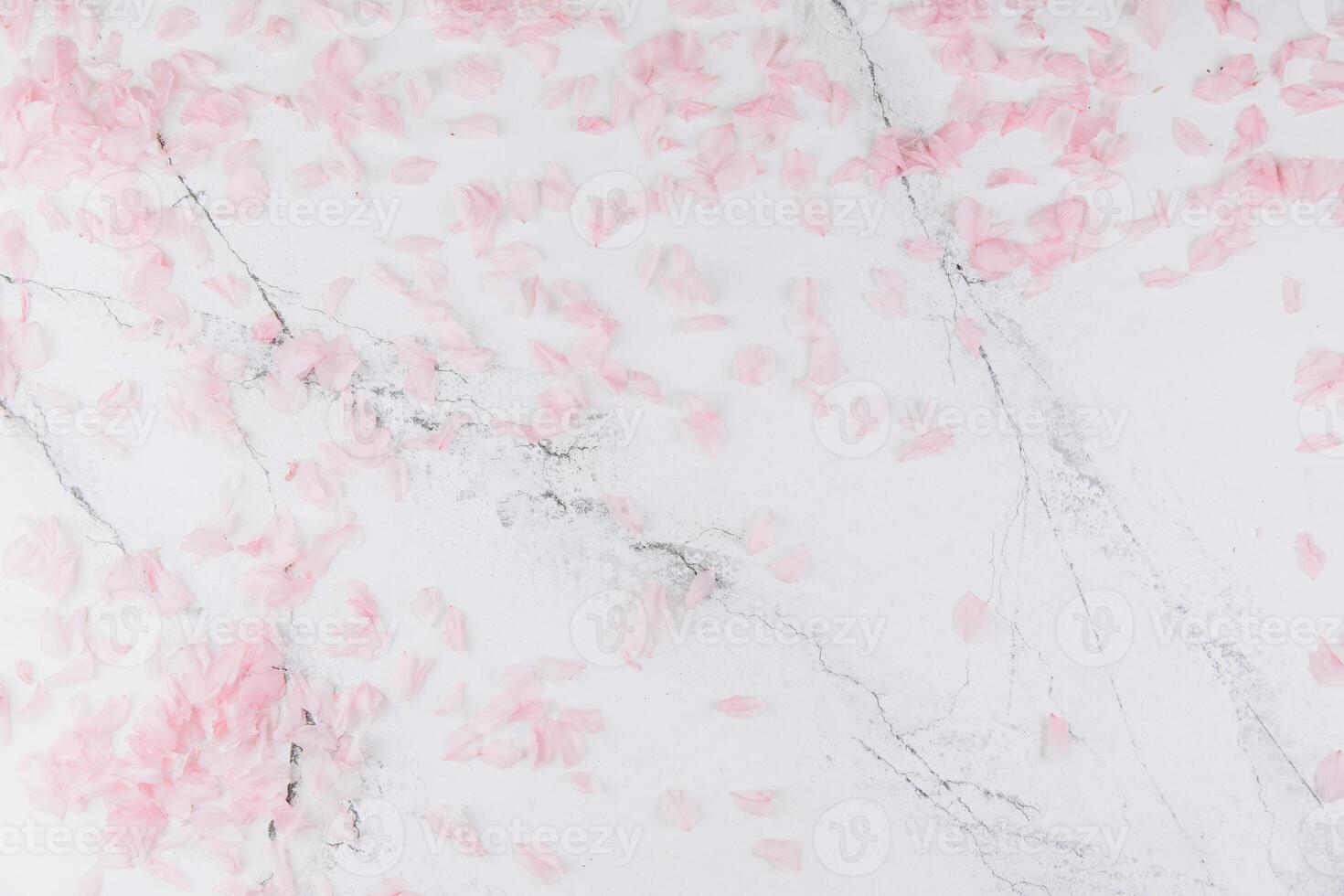 Spring composition. Pink petals on a trendy marble background. Flat lay, top view photo