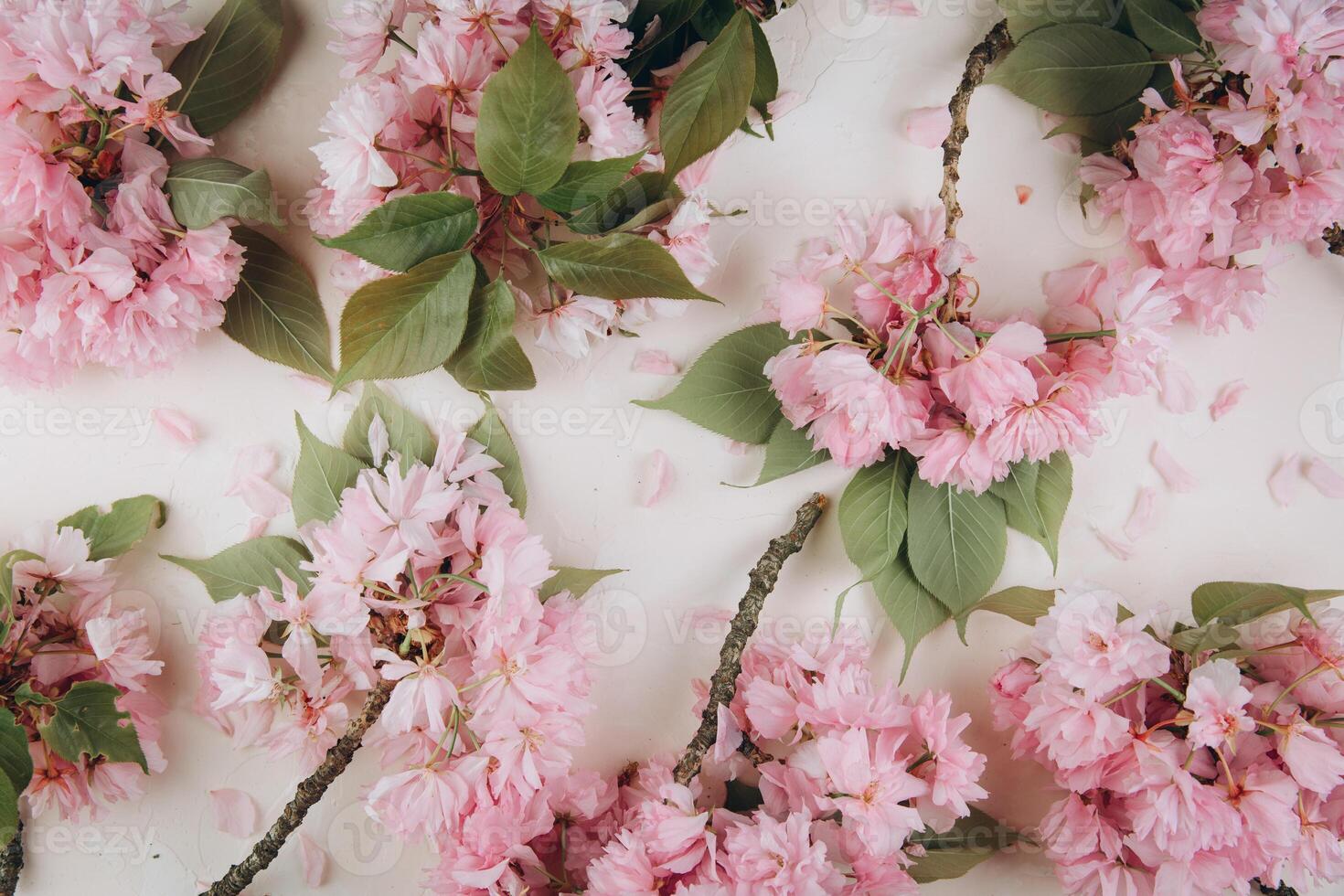 Sprigs of the sakura tree with flowers and petals on trendy marble background. Place for text. The concept of spring came. Top view. Flat lay photo