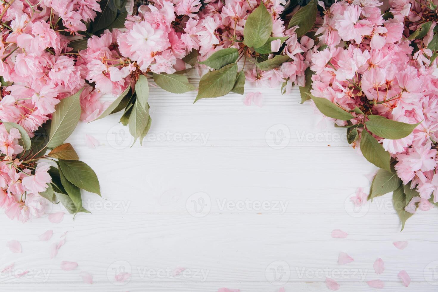 Sprigs of the sakura tree with flowers and petals on a wooden white background. Place for text. The concept of spring came. Top view. Flat lay photo