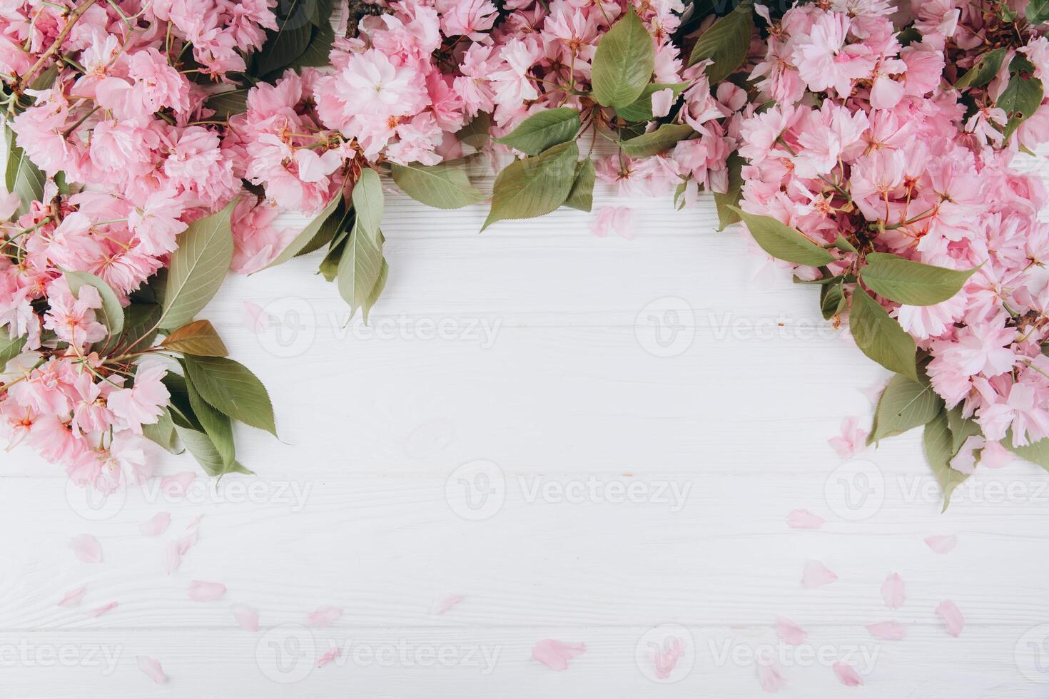 Sprigs of the sakura tree with flowers and petals on a wooden white background. Place for text. The concept of spring came. Top view. Flat lay photo
