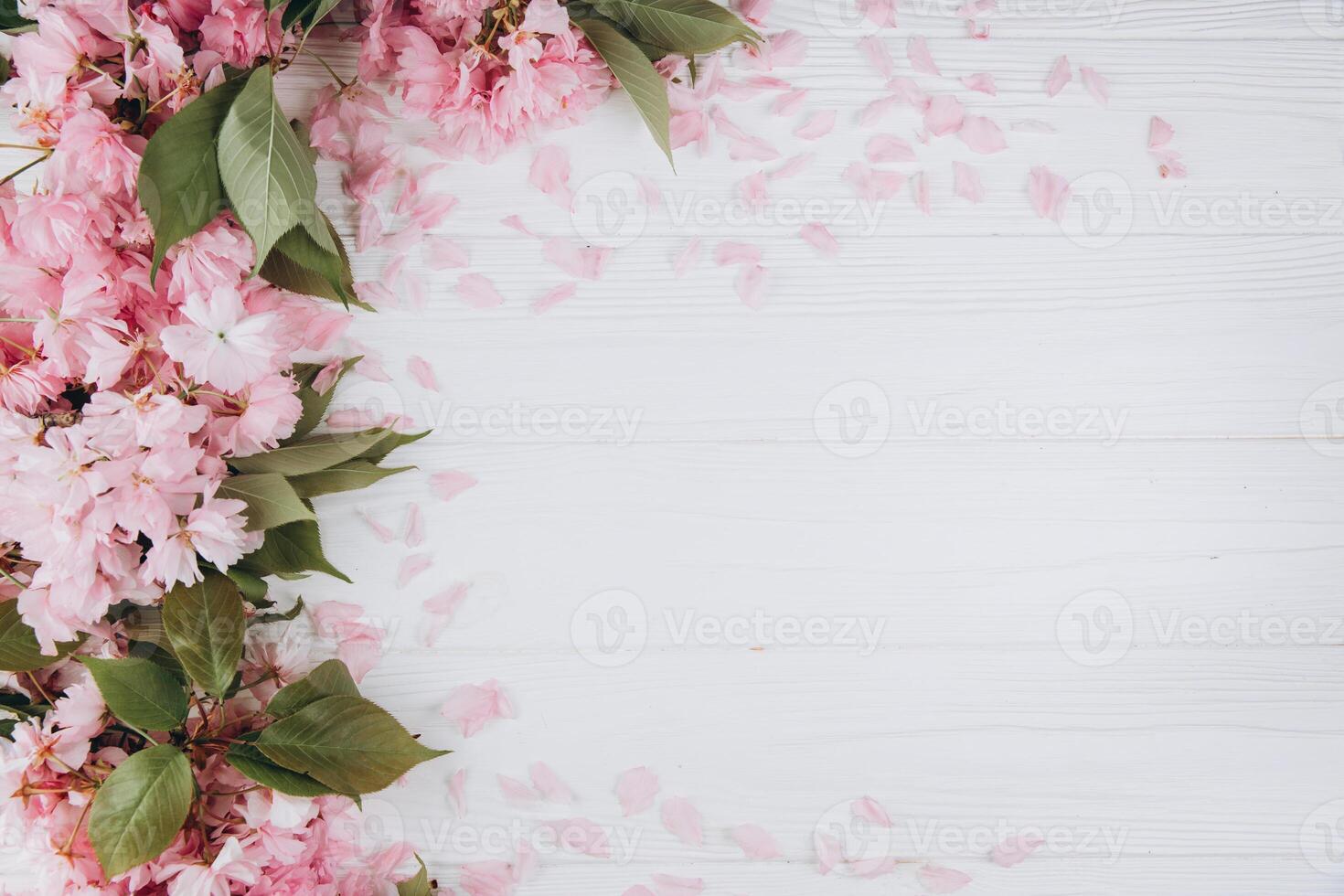 Sprigs of the sakura tree with flowers and petals on a wooden white background. Place for text. The concept of spring came. Top view. Flat lay photo