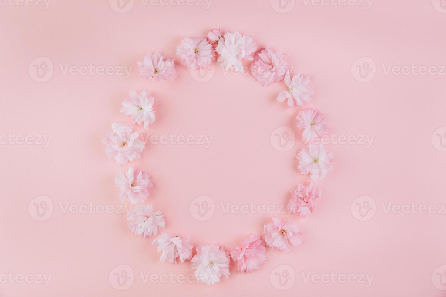 Styled stock photo. Spring, Easter feminine scene floral composition. Round frame wreath pattern made of pink Japanese cherry blossoms. Pink background. Flat lay, top view. photo