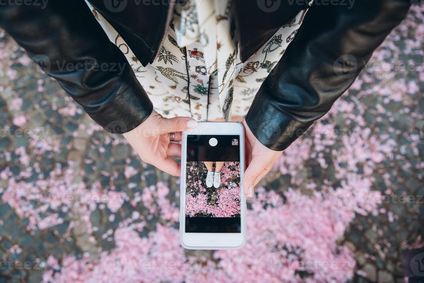 Female blogger making photo her legs with sakura pink petals on the floor. Spring composition.