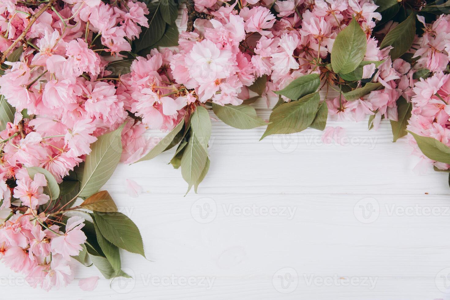 Sprigs of the sakura tree with flowers and petals on a wooden white background. Place for text. The concept of spring came. Top view. Flat lay photo