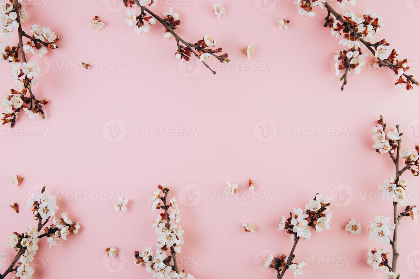 Spring flowers cherry blossoming on a pink background. Top view with copy space. Flat lay photo