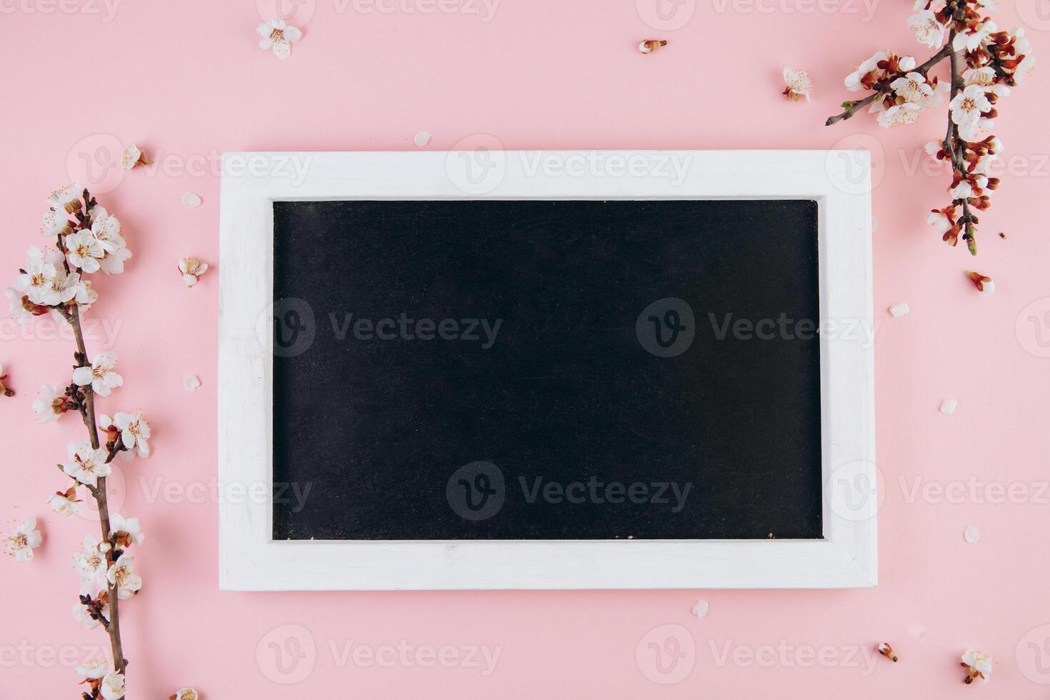 Spring flowers cherry blossoming around blackboard on the pink background. Top view with copy space. Flat lay photo
