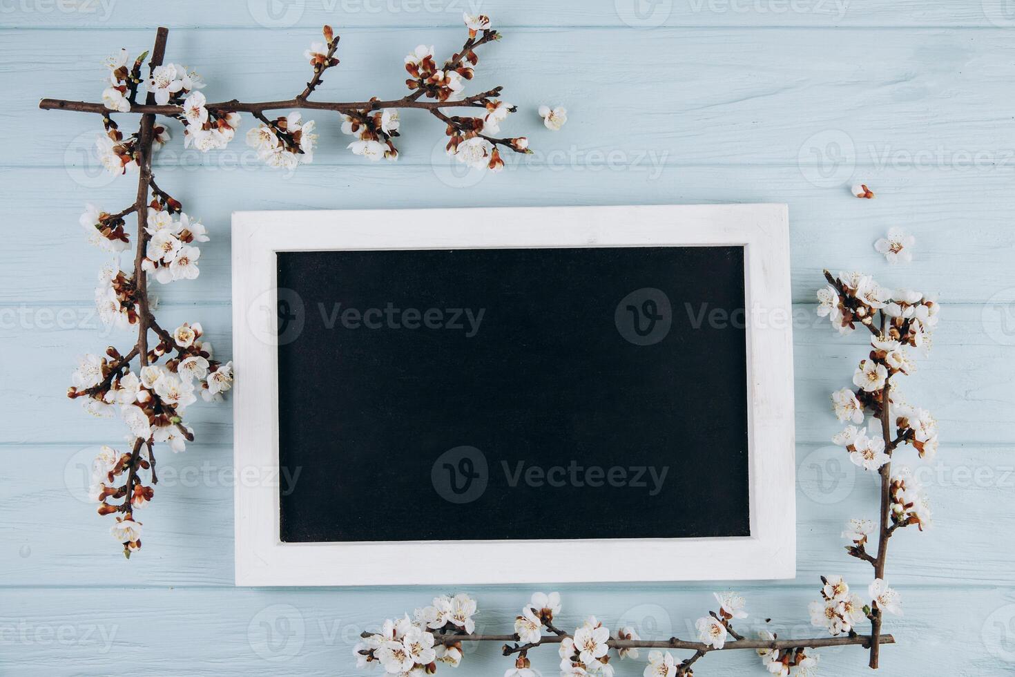 Spring flowers cherry blossoming around blackboard on the blue wooden background. Top view with copy space. Flat lay photo