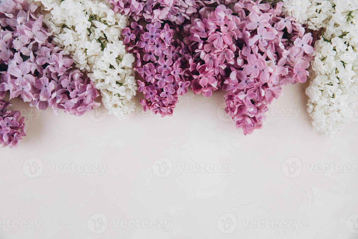 Floral pattern of a branch of lilac on a trendy stone pink background. Top view. Flat lay. Spring concept. Copy space photo