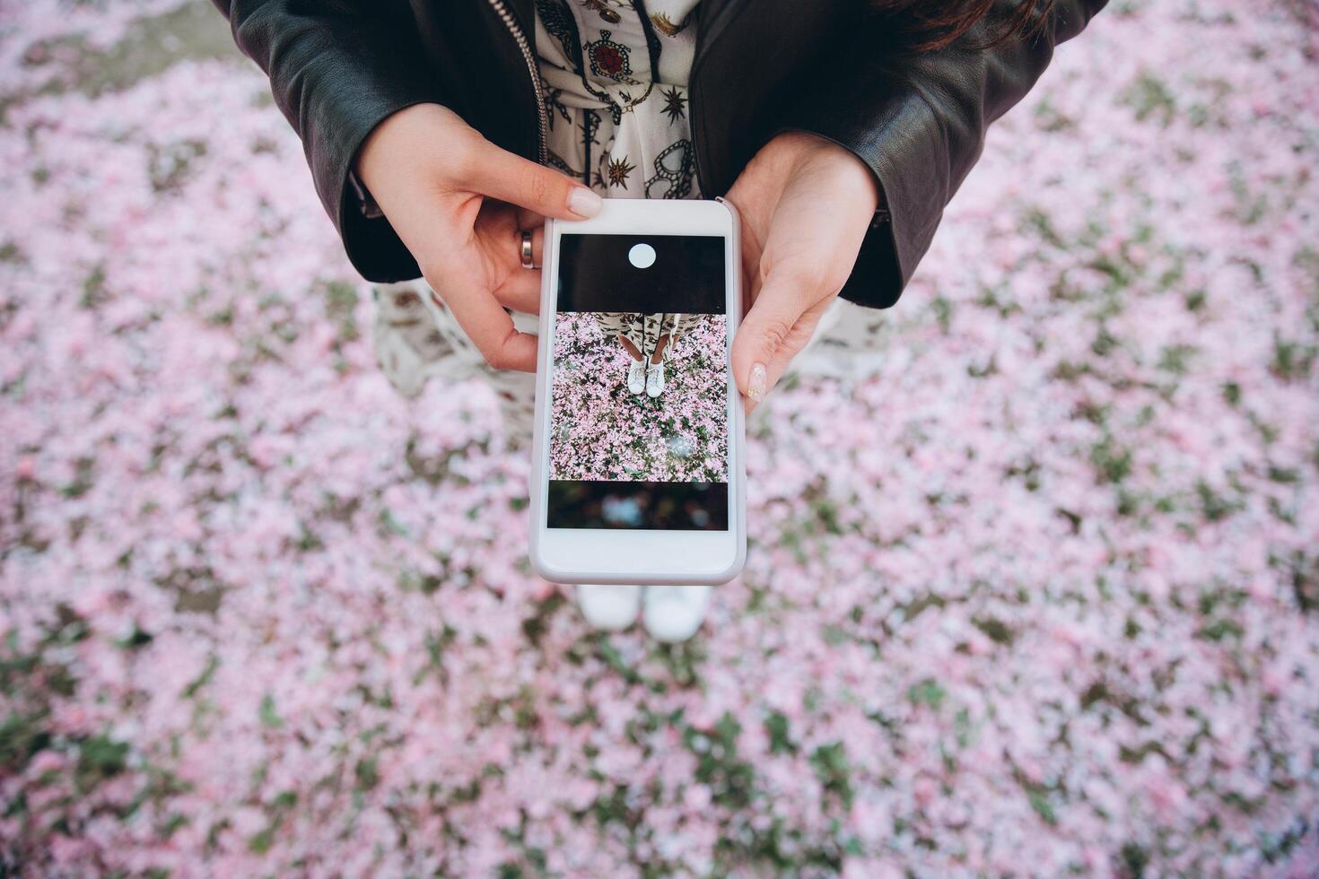 Female blogger making photo her legs with sakura pink petals on the floor. Spring composition.