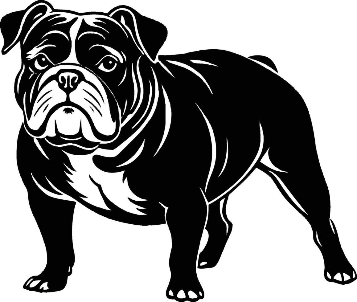 Bulldog silhouette standing on white background eps 10 vector