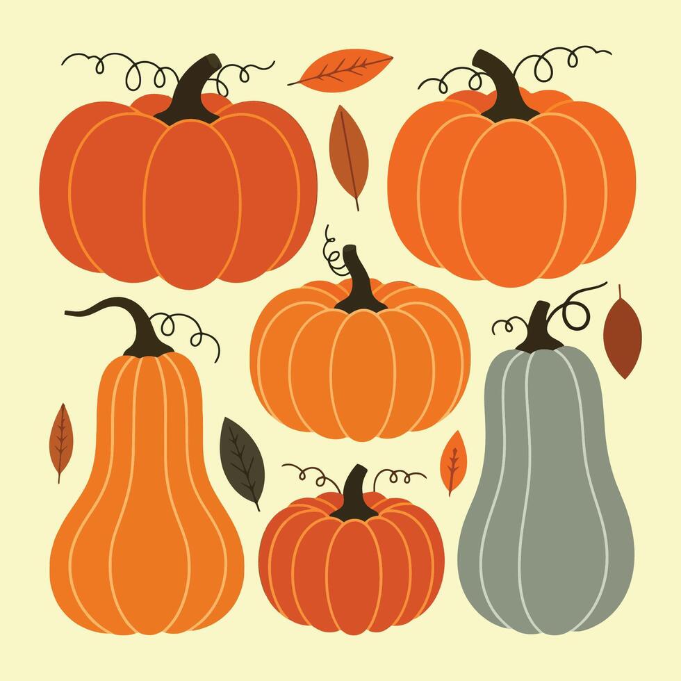 A display of pumpkins in assorted shapes, sizes, and color variations vector