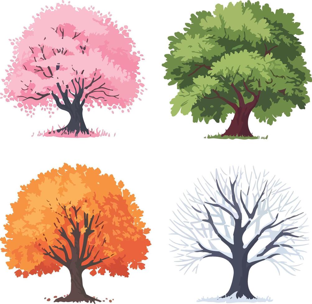 a tree with the seasons on it vector
