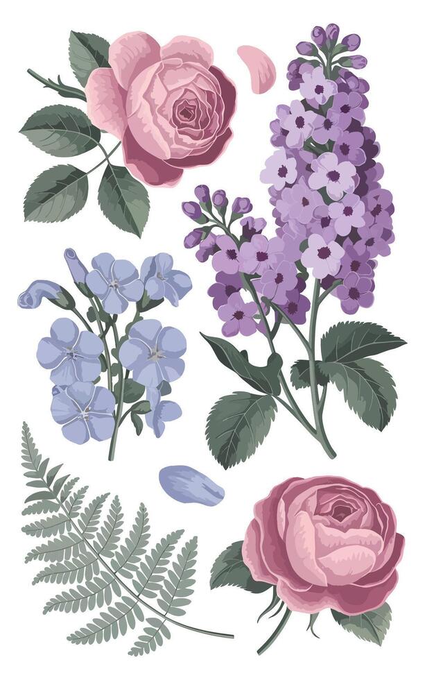a collection of flowers from the garden. vector