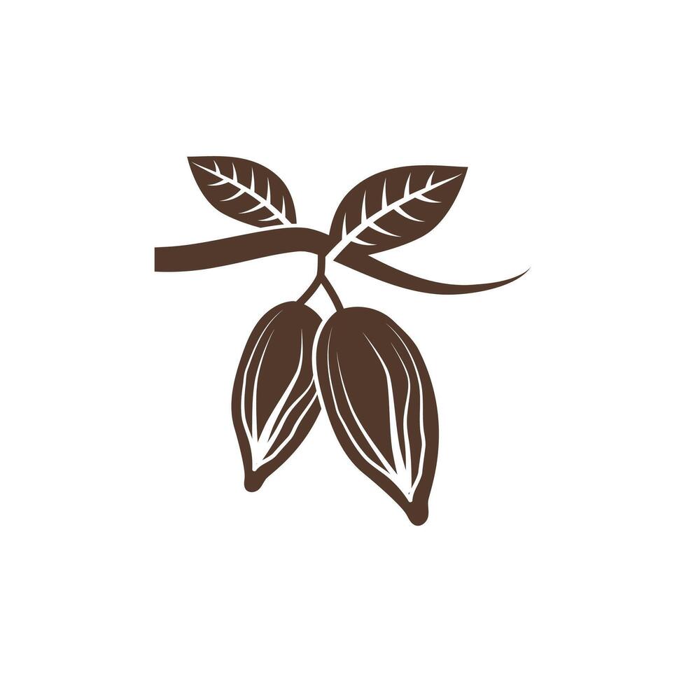 Cocoa beans on a branch illustration vector
