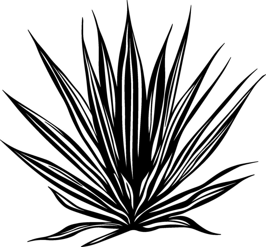 bush or grass black and white without background vector