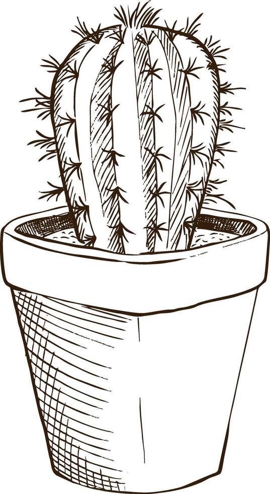 Illustration sketch cactus in a pot vector