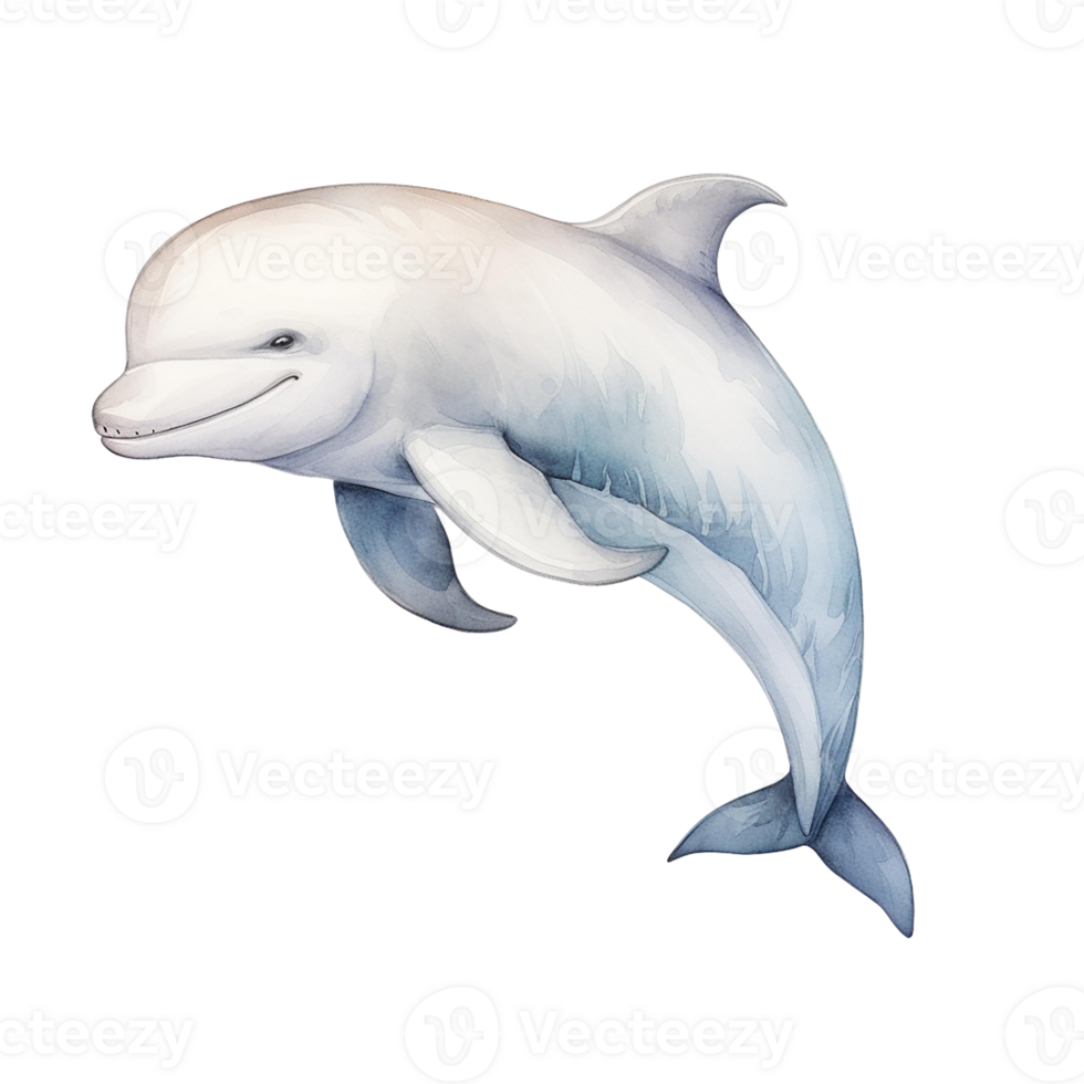Dolphin illustration isolate on transparent background 50779260 PNG