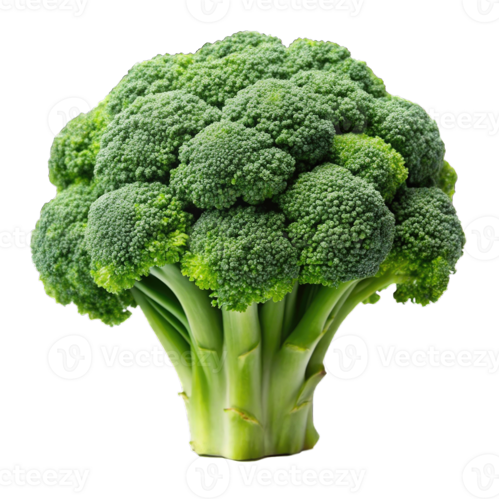 Cartoon Style 3D Broccoli Icon Isolated on Transparent Background Cutout png