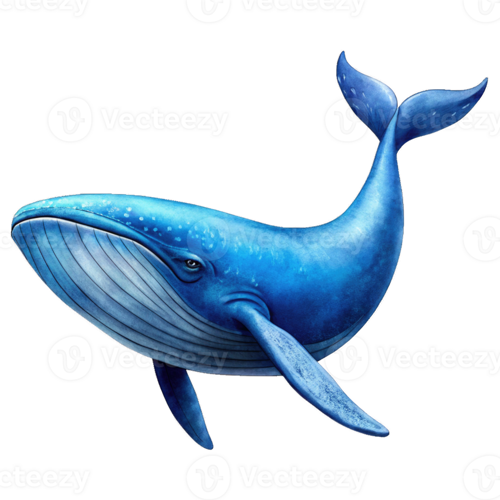 Blue whale icon style isolated on transparent background Cutout png