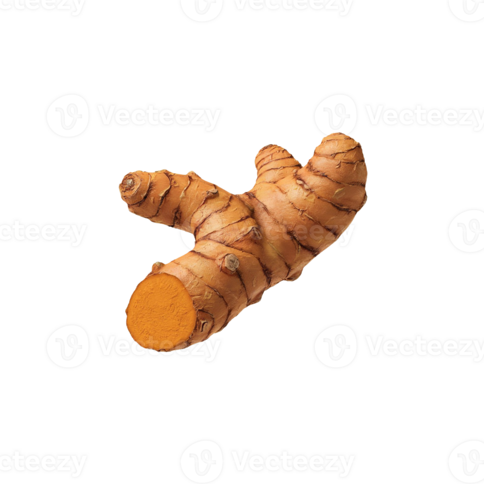 Fresh turmeric root image on a clear background png