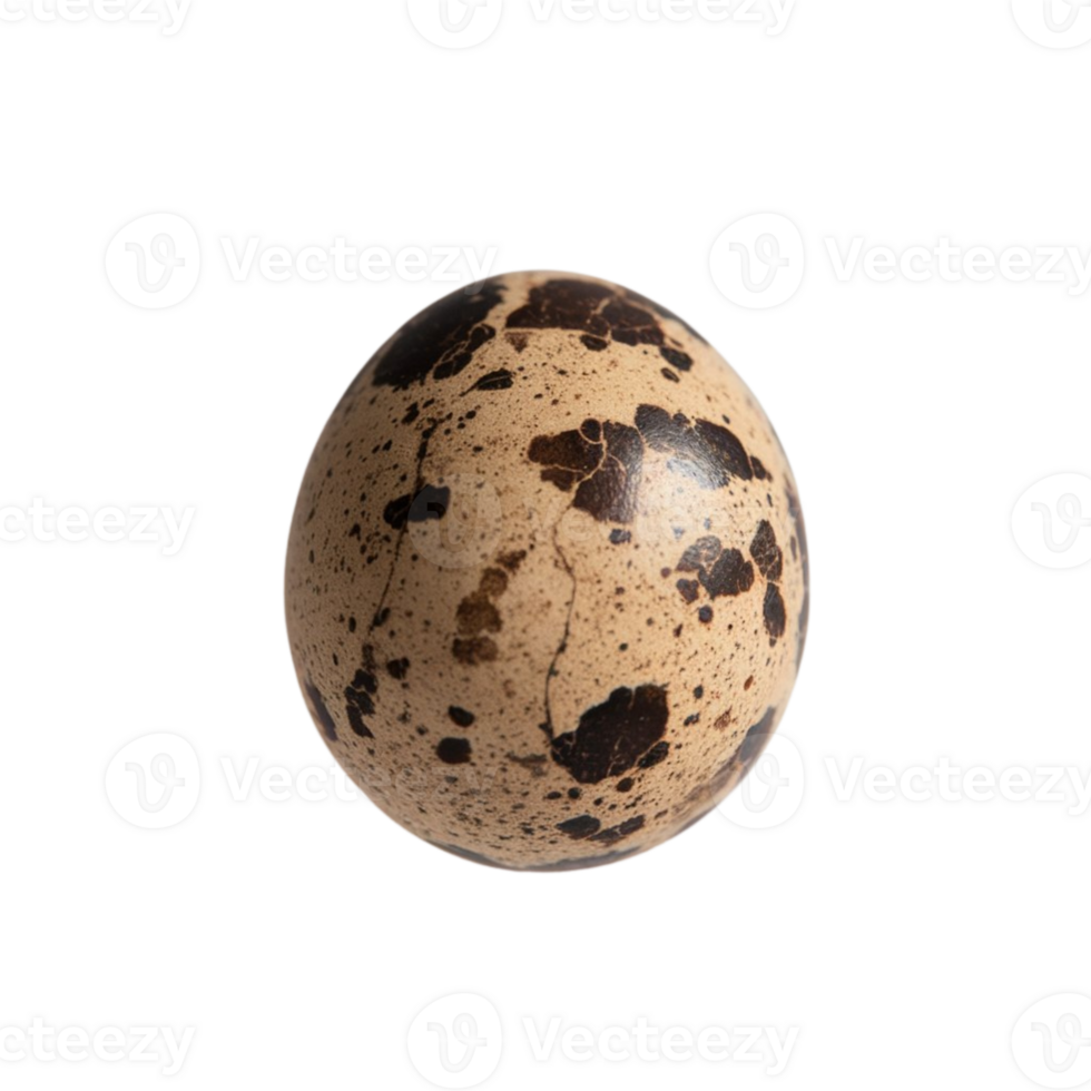Transparent background featuring quail and chicken eggs png