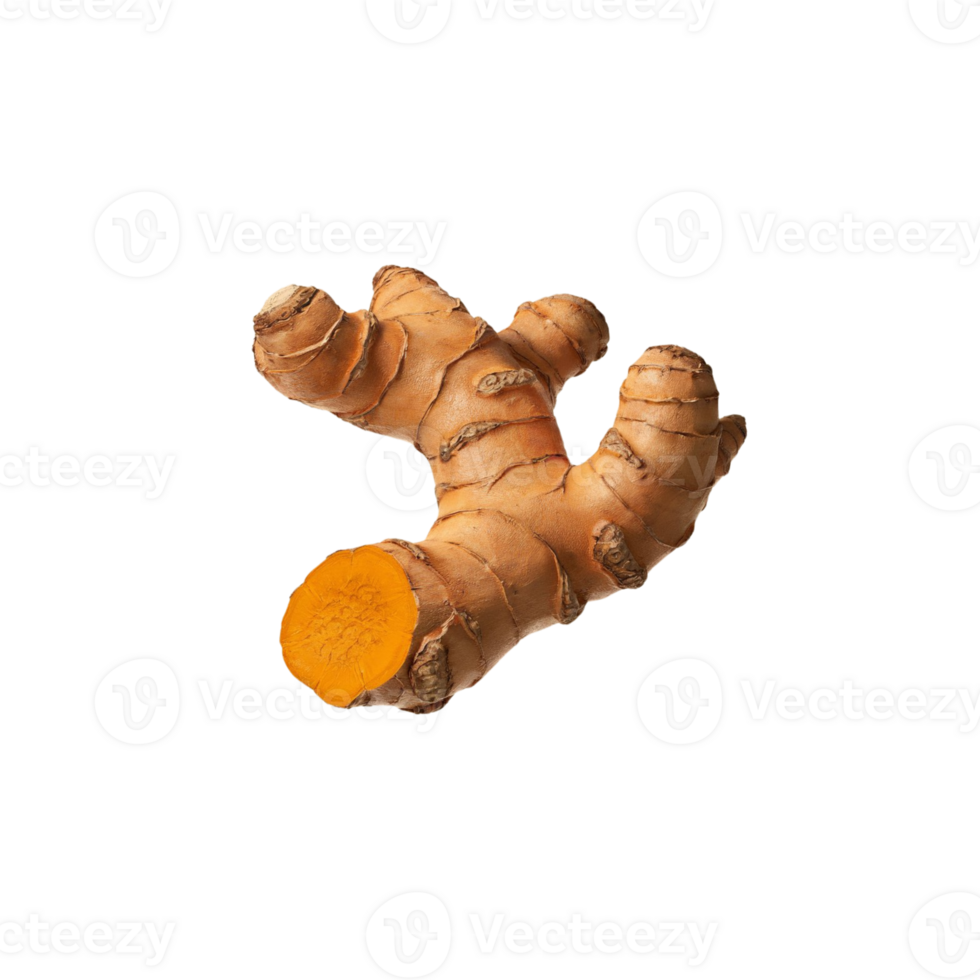Curcuma longa stem visual isolated on a plain background png