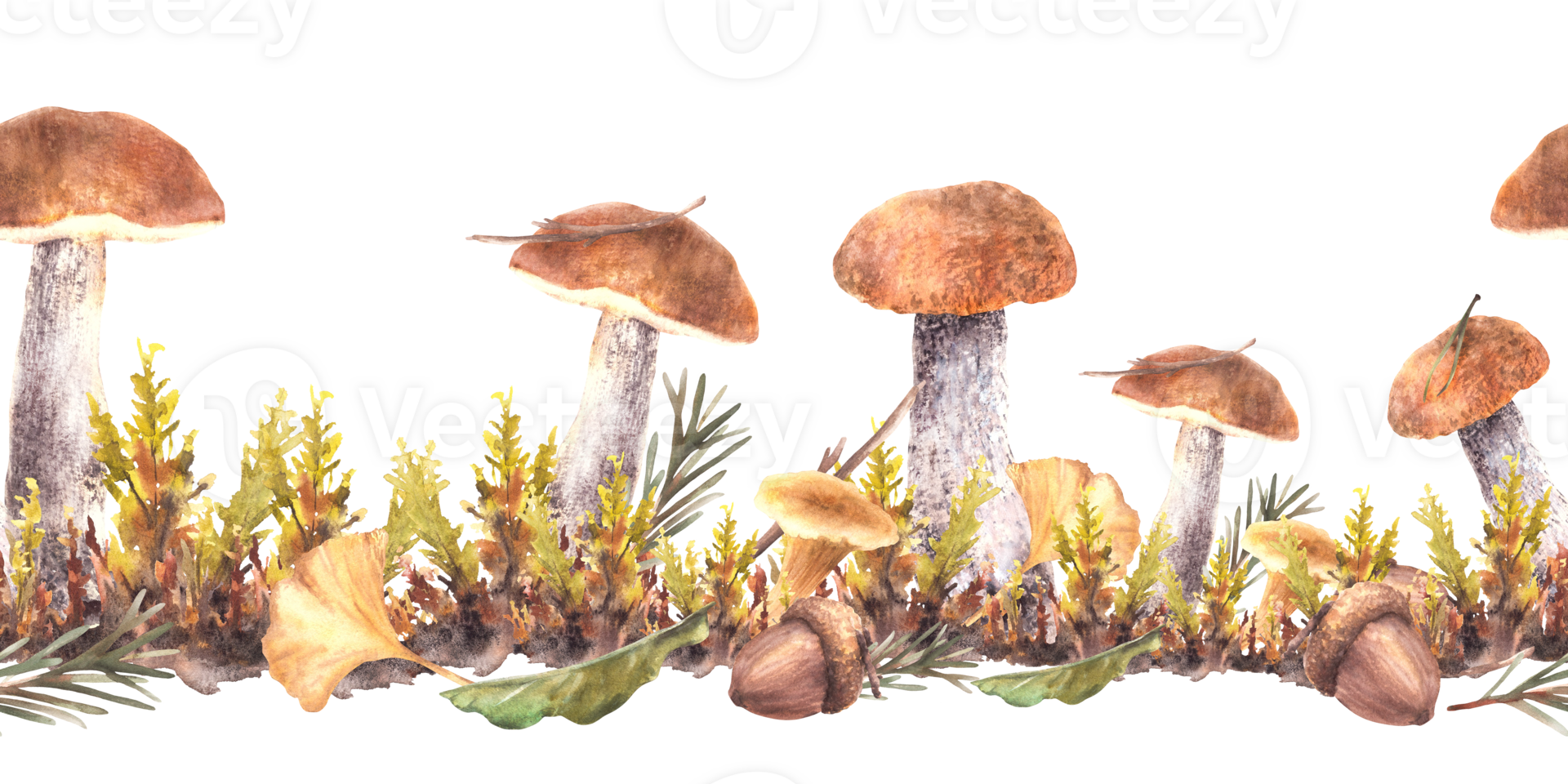 Mushrooms fall seamless border. Boletus orange cap with Chanterelle, moos, yellow green leaves and brown acorn. Fir branch, needles. Watercolor hand drawn pattern illustration isolated from background png