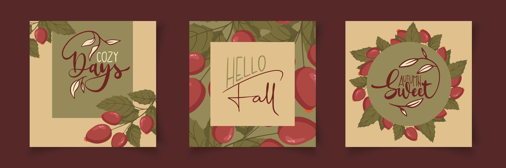 Set of colorful autumn posterswith bright beautiful leaves frame, paper cut flat style letters and lettering. vector