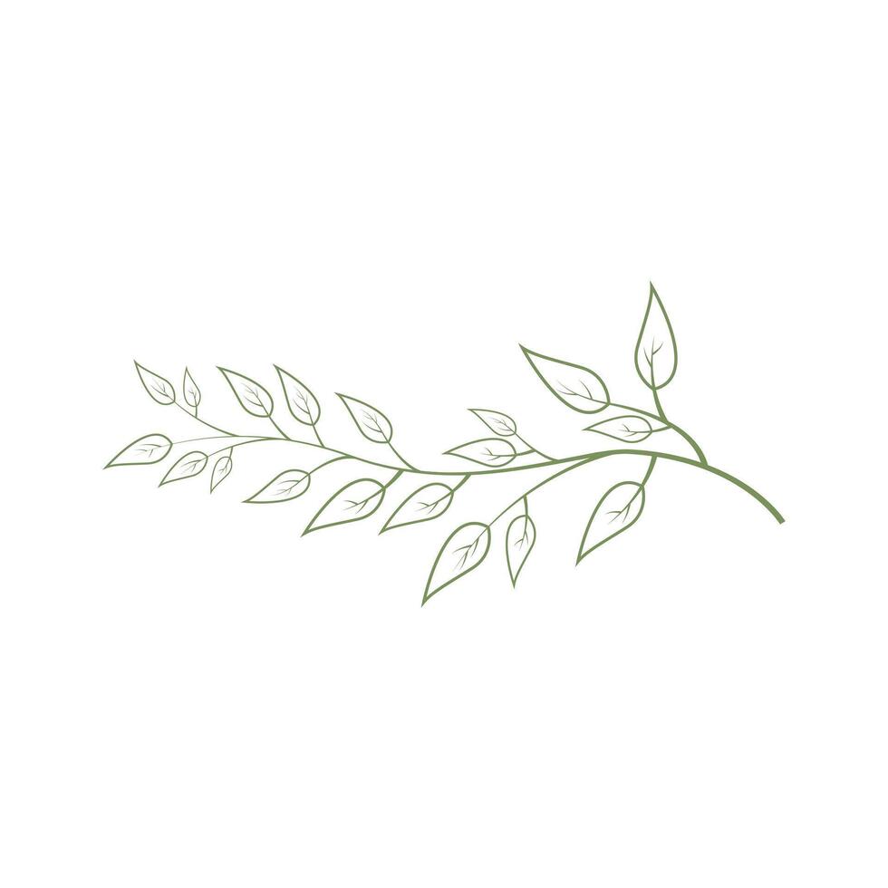 branch of a tree logo design concept outline style vector