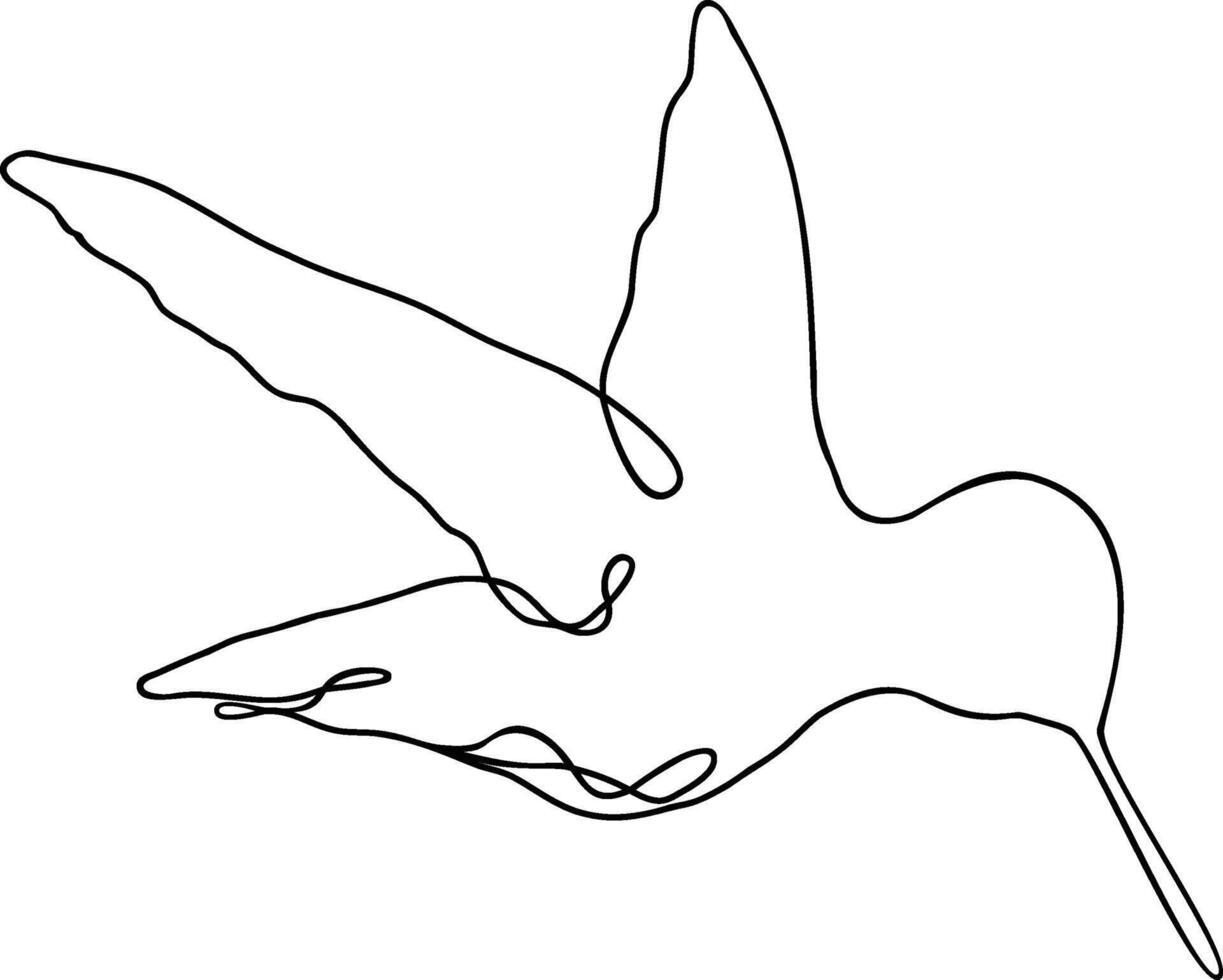 Hummingbird Line Art vector