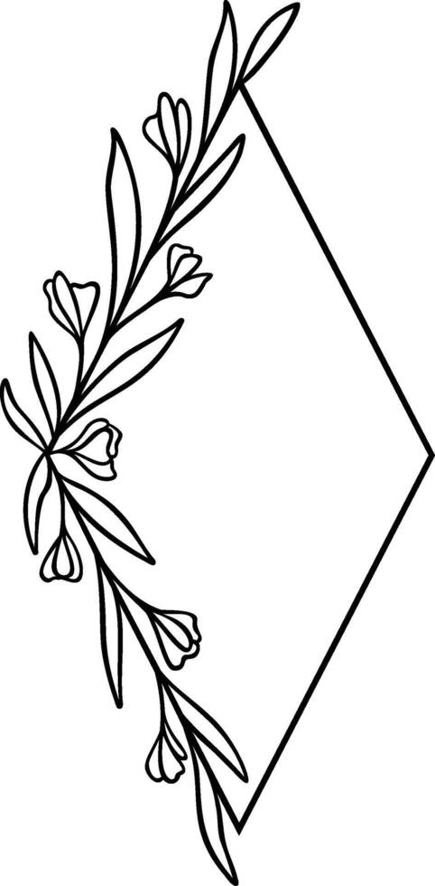 Botanical Diamond Border vector