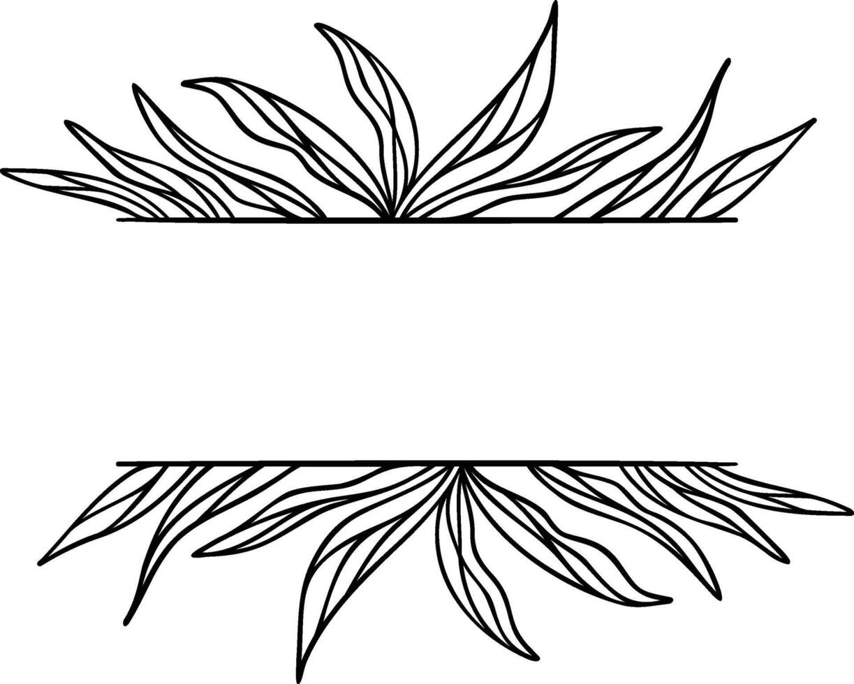 Botanical Split Border vector