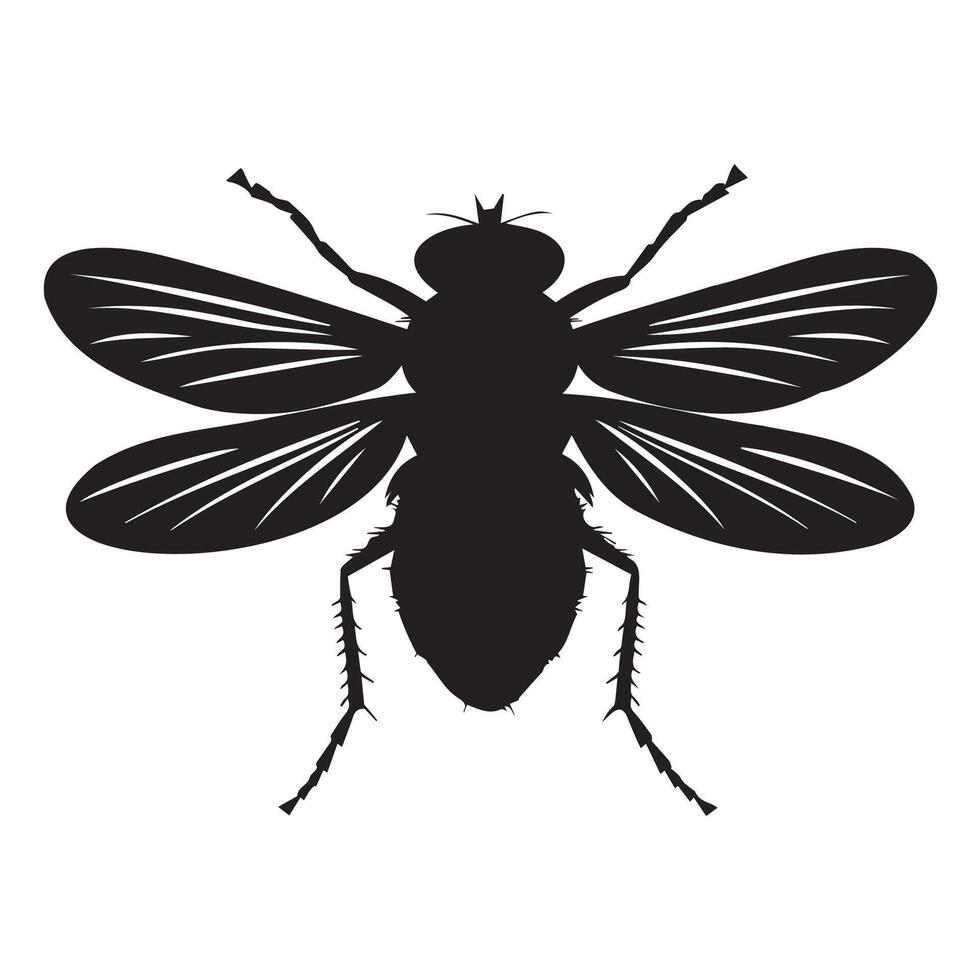 Silhouette of a Fly with Delicate Wings and Body vector